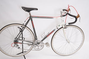 Giant Pacer | Newly Added