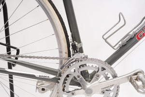 Giant Pacer | Newly Added