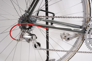 Giant Pacer | Newly Added