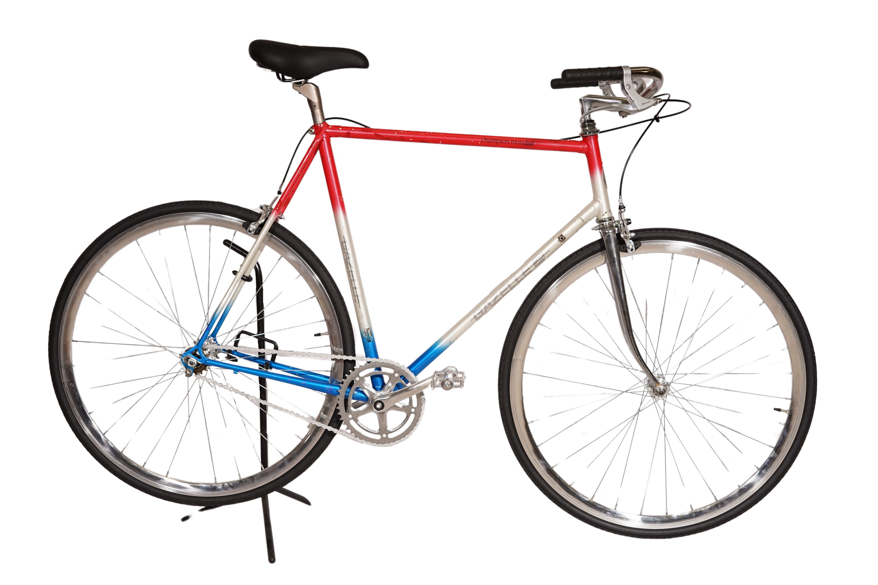 Gazelle Champion Mondial | NEW