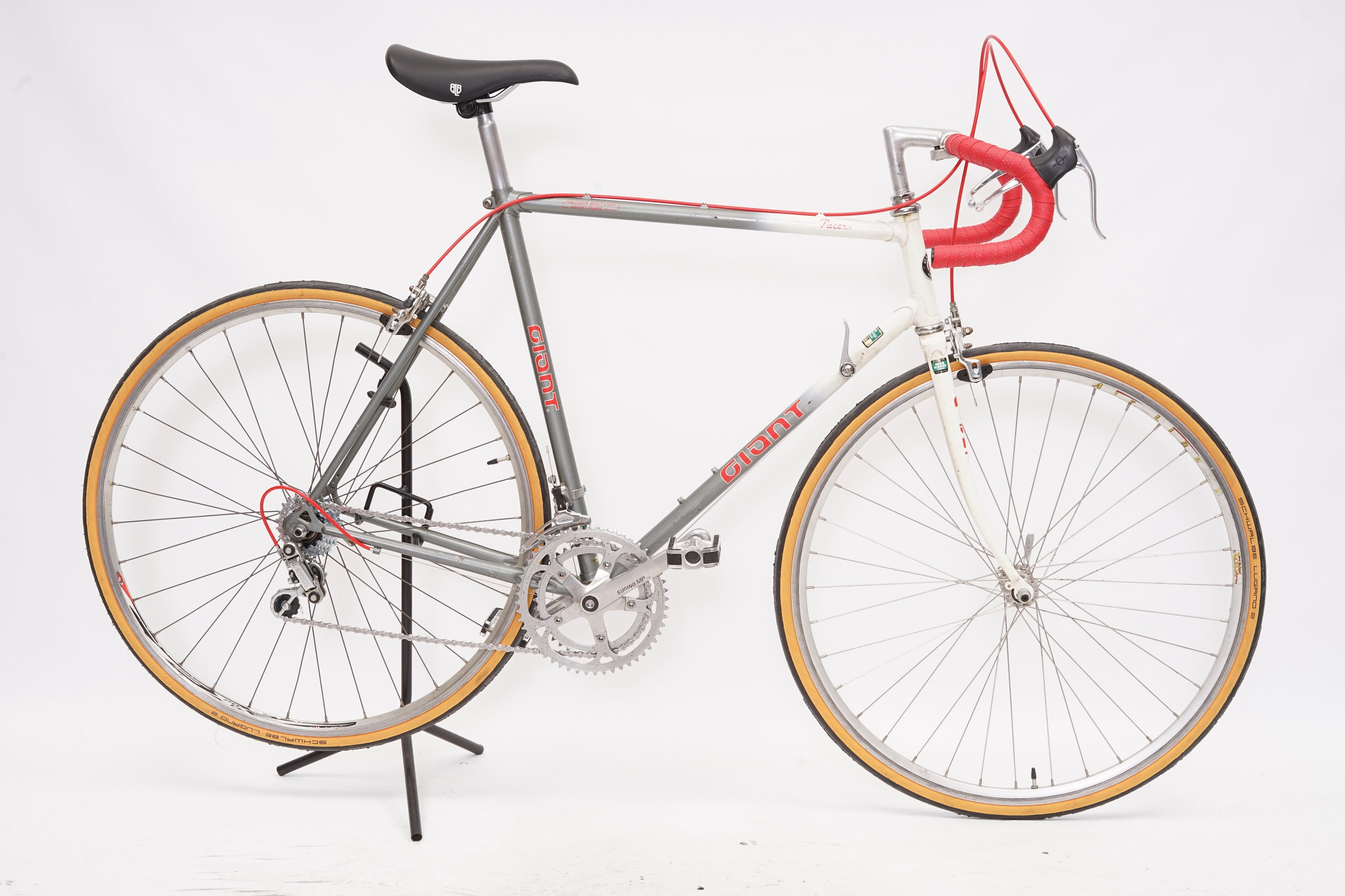 Giant Pacer | Newly Added