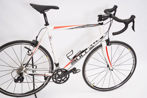 Bulls Desert Falcon 2 | Newly Added