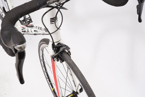 Bulls Desert Falcon 2 | Newly Added