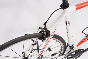 Bulls Desert Falcon 2 | Newly Added