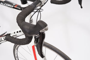 Bulls Desert Falcon 2 | Newly Added