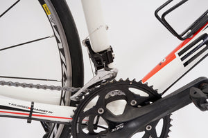 Bulls Desert Falcon 2 | Newly Added