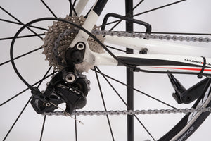 Bulls Desert Falcon 2 | Newly Added