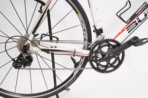 Bulls Desert Falcon 2 | Newly Added