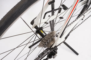 Bulls Desert Falcon 2 | Newly Added