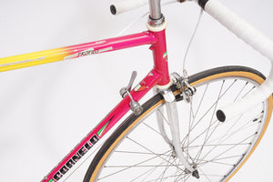 Cornelo | Newly Added