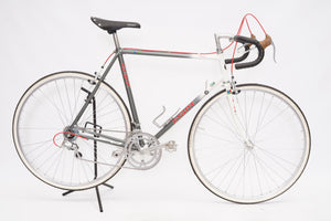 Giant Pacer | Newly Added