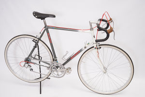 Giant Pacer | Newly Added