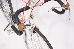 Giant Pacer | Newly Added