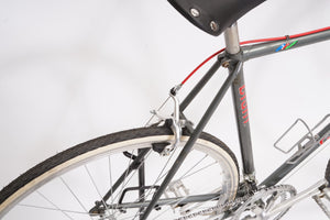 Giant Pacer | Newly Added