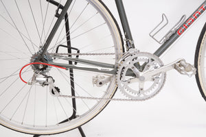 Giant Pacer | Newly Added