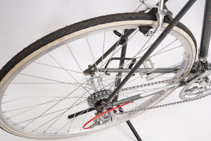 Giant Pacer | Newly Added