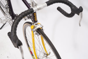 Batavus Pro | Newly Added