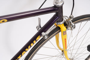 Batavus Pro | Newly Added