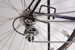 Batavus Pro | Newly Added