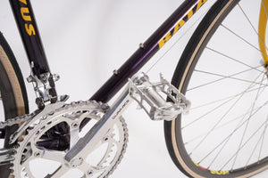 Batavus Pro | Newly Added