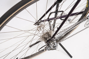 Batavus Pro | Newly Added