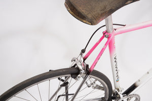 Concorde Mistral | Newly Added