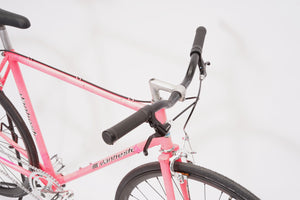 Vanheste (single-speed) | Newly Added