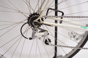 Koga Miyata | Newly Added