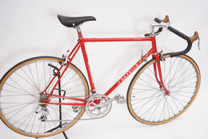 Gazelle Champion Mondial | Newly Added