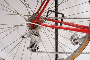 Gazelle Champion Mondial | Newly Added