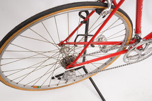 Gazelle Champion Mondial | Newly Added