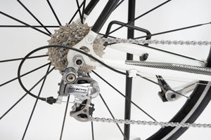 Moser | Newly Added