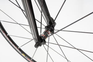 Moser | Newly Added
