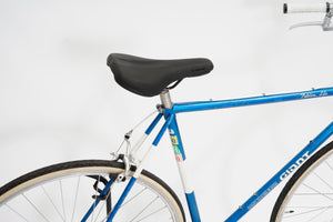 Giant Peloton Lite (single-speed) | Newly Added
