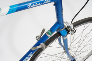 Giant Peloton Lite | Newly Added