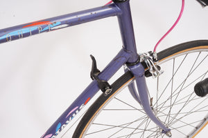 Batavus Equipe