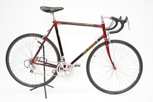 Specialized Epic | Newly Added