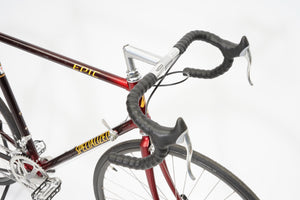 Specialized Epic | Newly Added