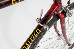 Specialized Epic | Newly Added
