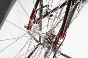 Specialized Epic | Newly Added
