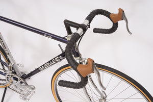 Gazelle Vuelta