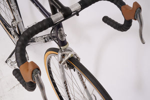 Gazelle Vuelta