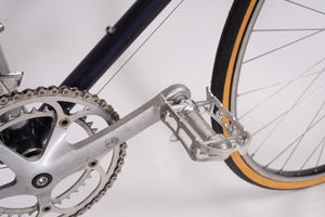 Gazelle Vuelta