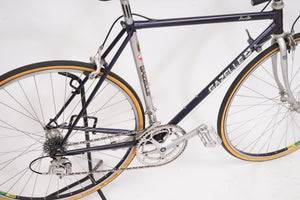 Gazelle Vuelta