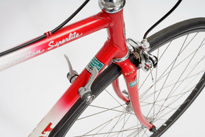 Giant Peloton Superlite | Newly Added