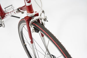 Giant | Newly Added