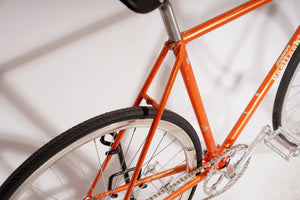 Pogliaghi - Fixed gear / Single-speed