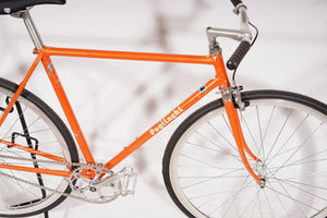 Pogliaghi - Fixed gear / Single-speed