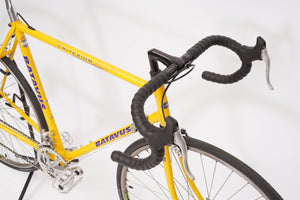 Batavus Criterium
