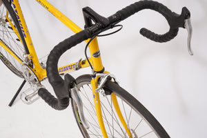 Batavus Criterium